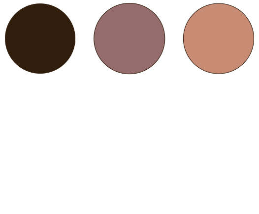 Logo Cracks Guitars justification choix couleurs