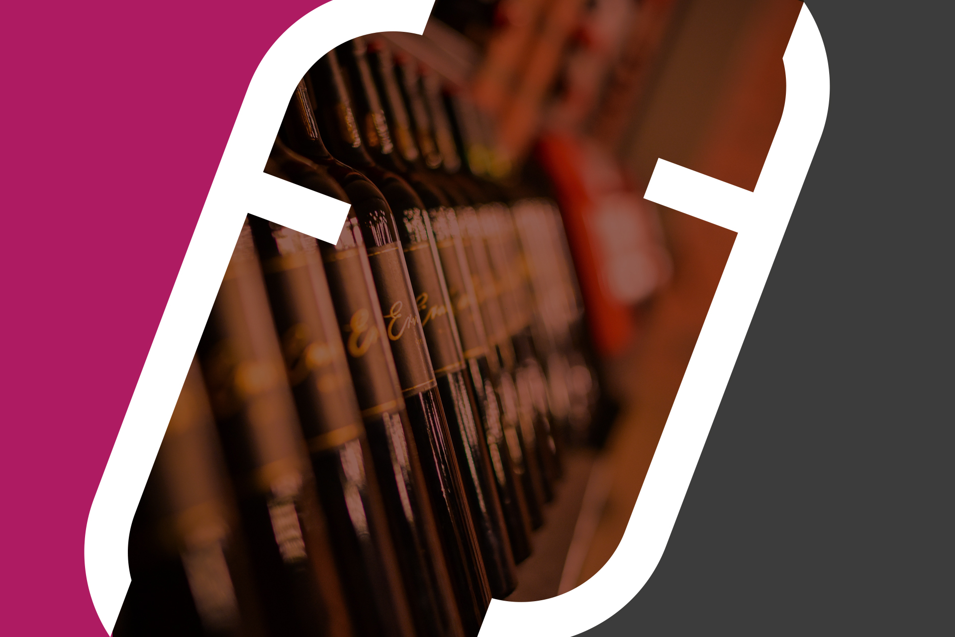 Charte graphique Fabrice Tupin