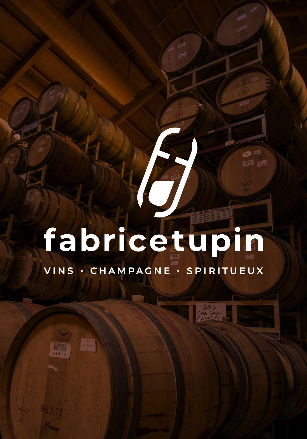logo Fabrice Tupin blanc sur photo ambiance cave