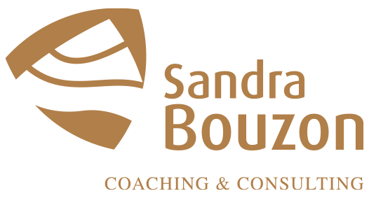 Logo Sandra Bouzon axe de réflexion 2