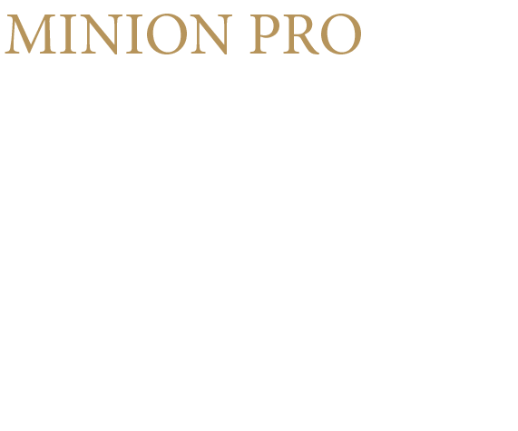 Logo Sandra Bouzon typo charte graphique